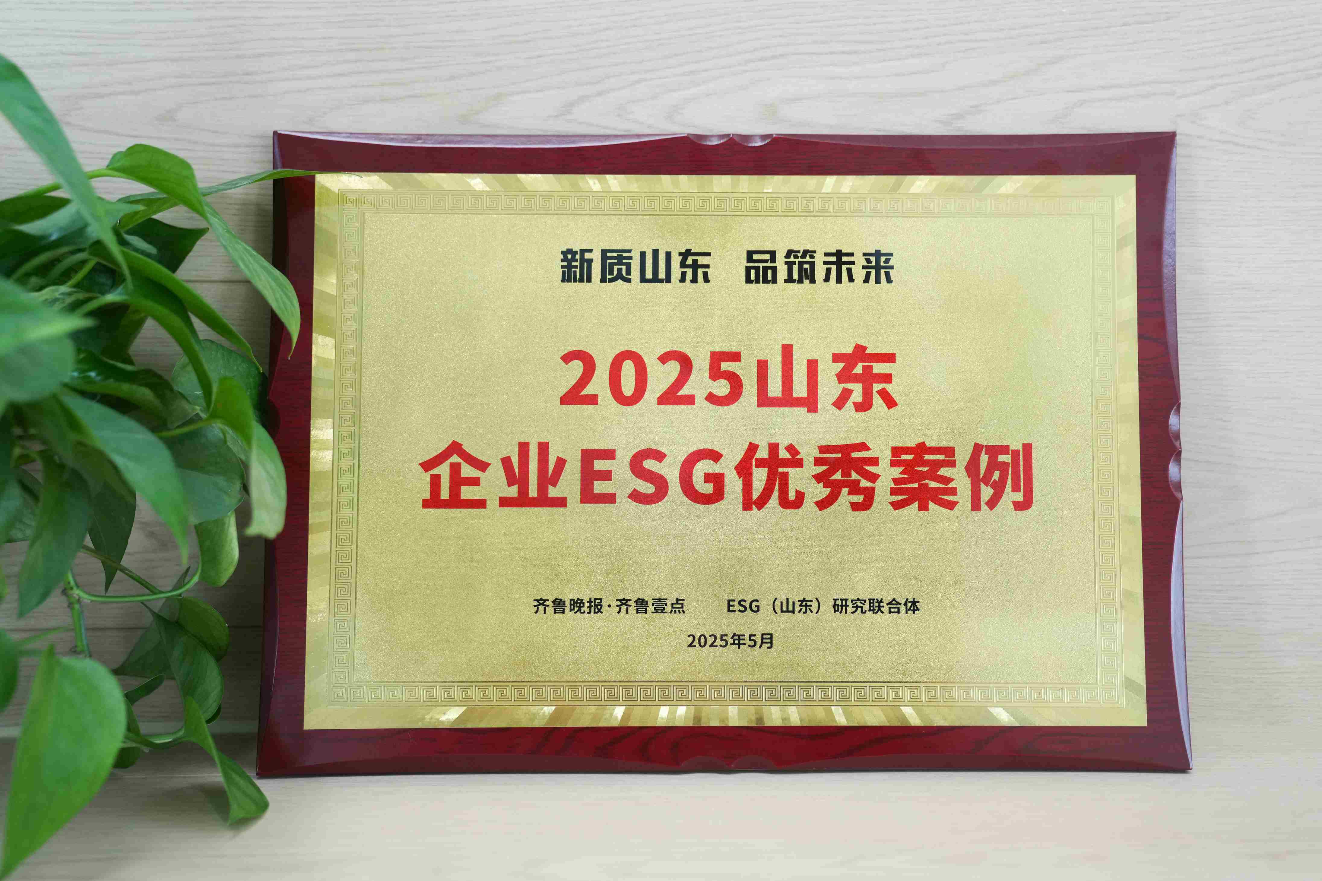 yp街机医疗入选2025山东企业ESG优秀案例